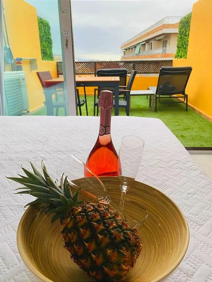 Marina Atico Penthouse Apartment Puerto de la Cruz